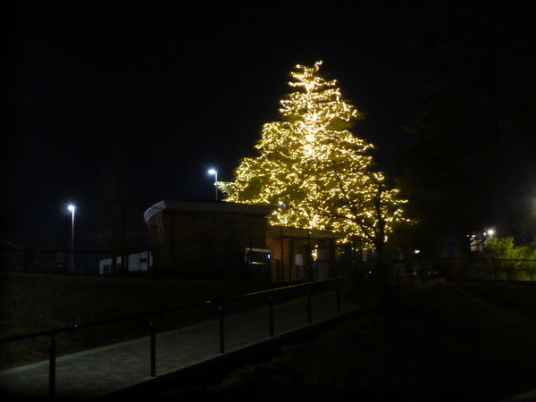 P1060505.JPG