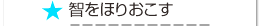 智をほりおこす