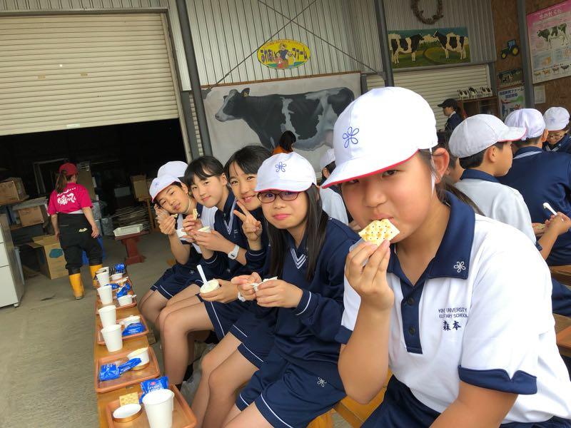 20190604155635-58628d914b34c631f2d88d597170627bcffbca6e.jpg