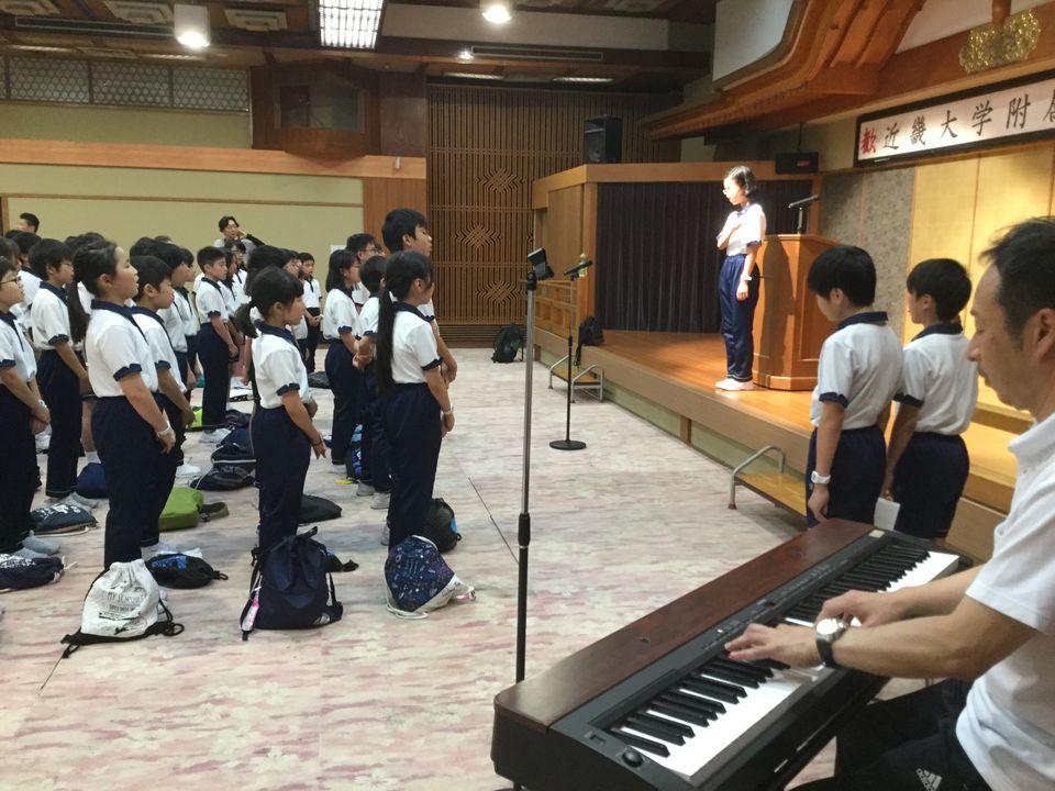 20190709130801-b3958ec4a4fdf9c61f3e8c3bf6f5e50e4a29c0c3.jpeg