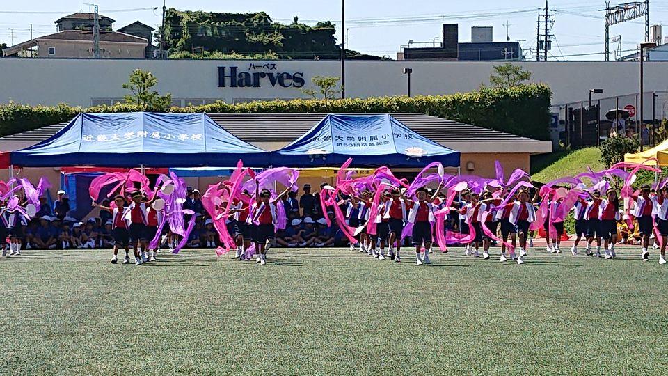 20190915222046-89851154be6f447809f1850ca744fc73da44f97b.jpg