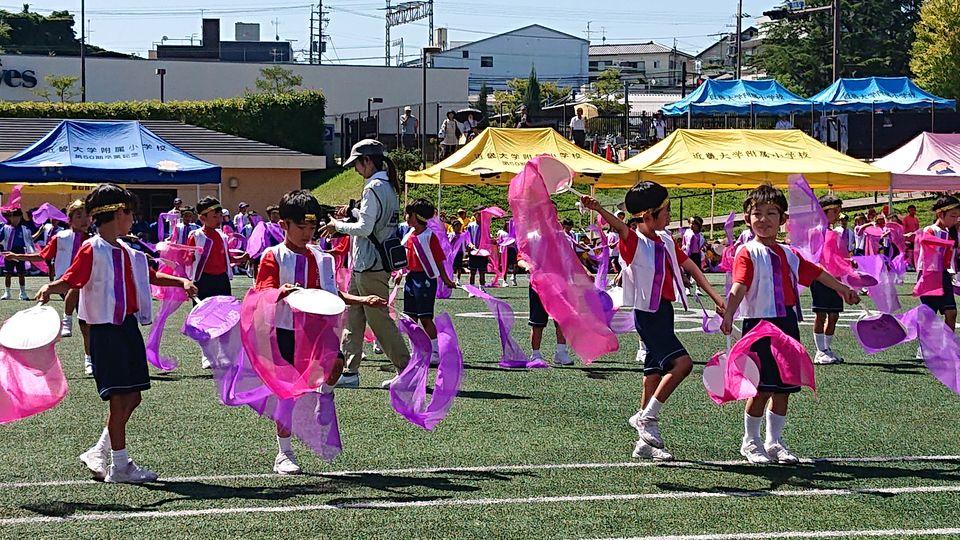 20190915222120-d472b75ccb2a89722e98328ff85acae4ff96be91.jpg