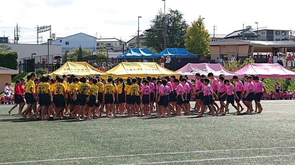 20190915222427-0fb66d8ee3d3398fe1ddd6047b28e400237d45aa.jpg