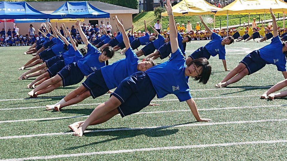 20190915222534-3f6f4260b1760de9b507d04206045d9f026753df.jpg