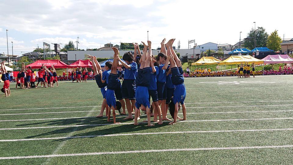 20190915222633-fab6a43a2d3ffa4226bcc7db013f33fe6de00fc4.jpg