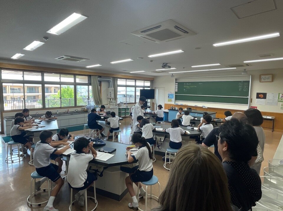 20240608111306-44a40d9d62e4c6798f0098b36505f0f237a3fef7.jpeg