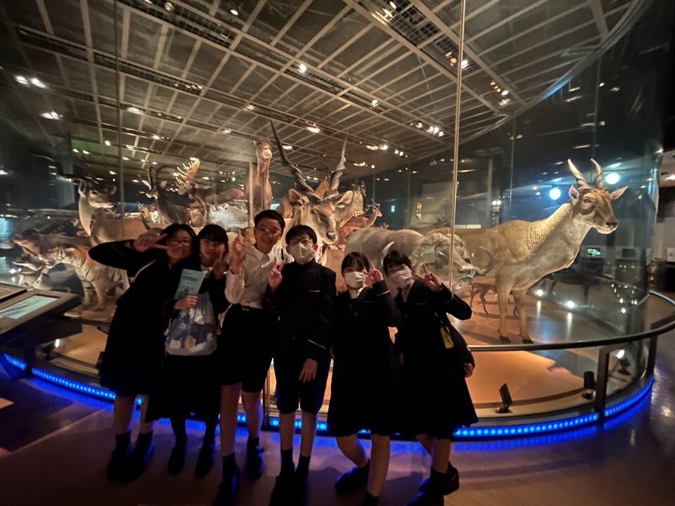 20241023102536-42ae13846a78a940fbd509992170b65de2f597ff.jpeg