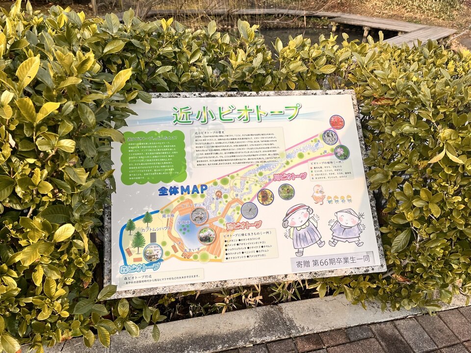 20250313184843-06aec799cf78deae34a072e613991a8db14cb255.jpeg
