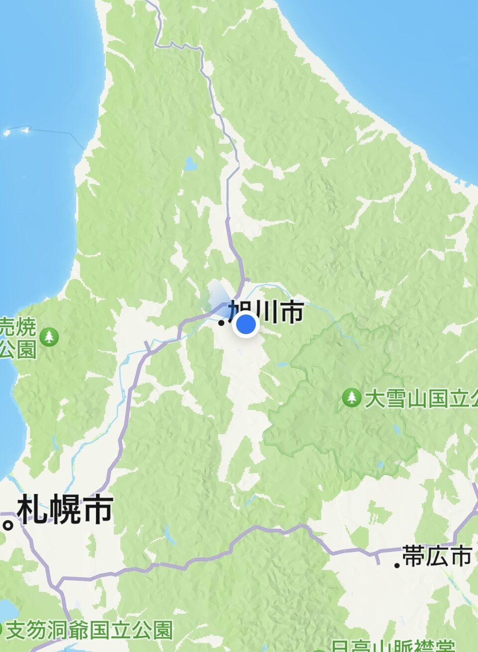 20250605142906-565346ac3a120b7d4a82d420f5b5edd7ae6ec690.jpeg