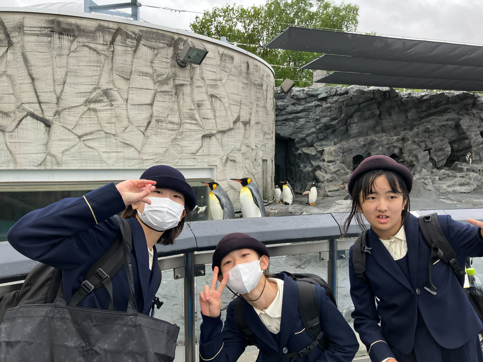 20250605145906-41ed7706c8bb9796caa9c24c21f89f4ae20d5a5a.png