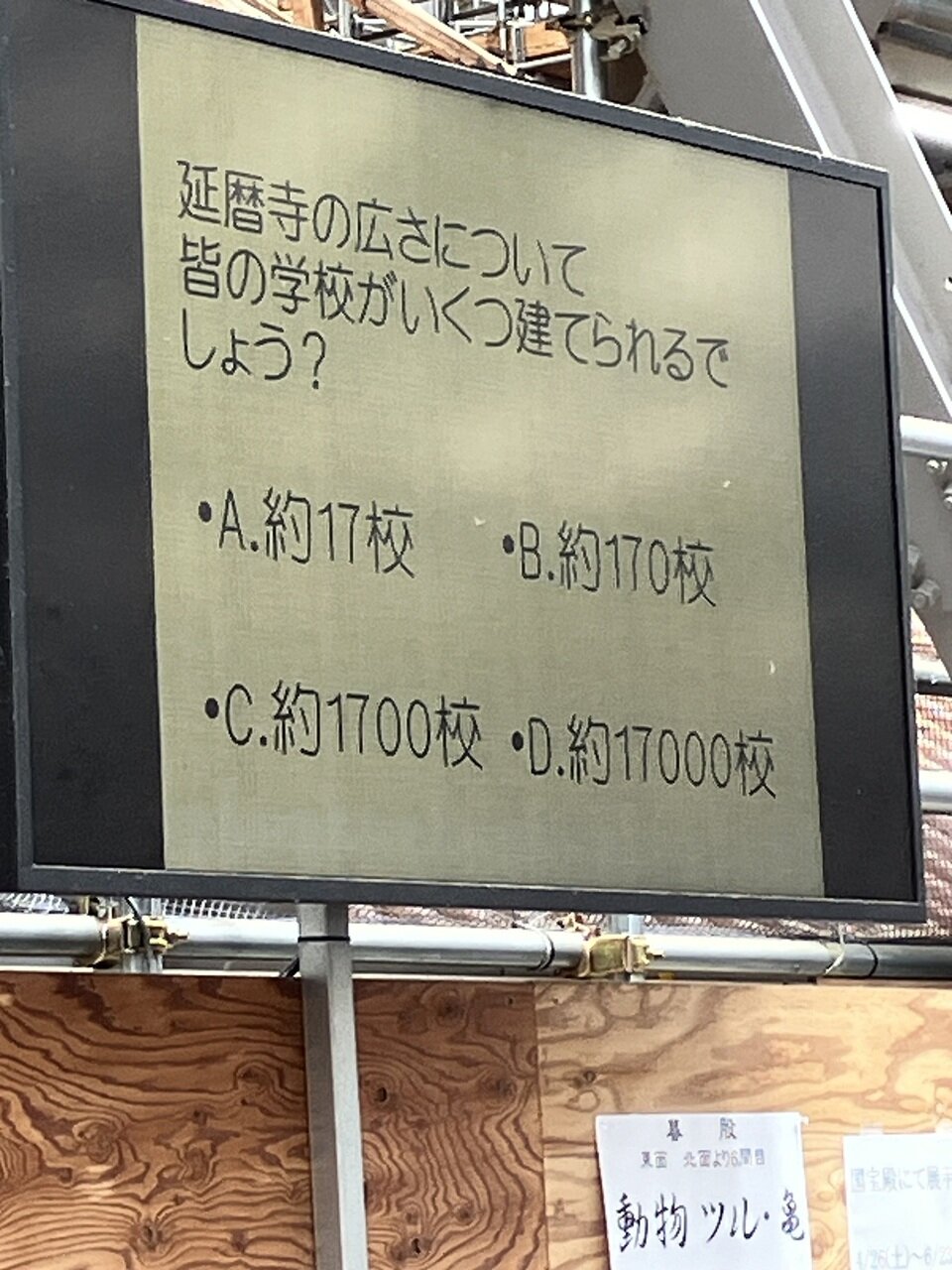 20250613113358-65a429e4ad0d654811fbd1161b0f92be029be268.jpeg