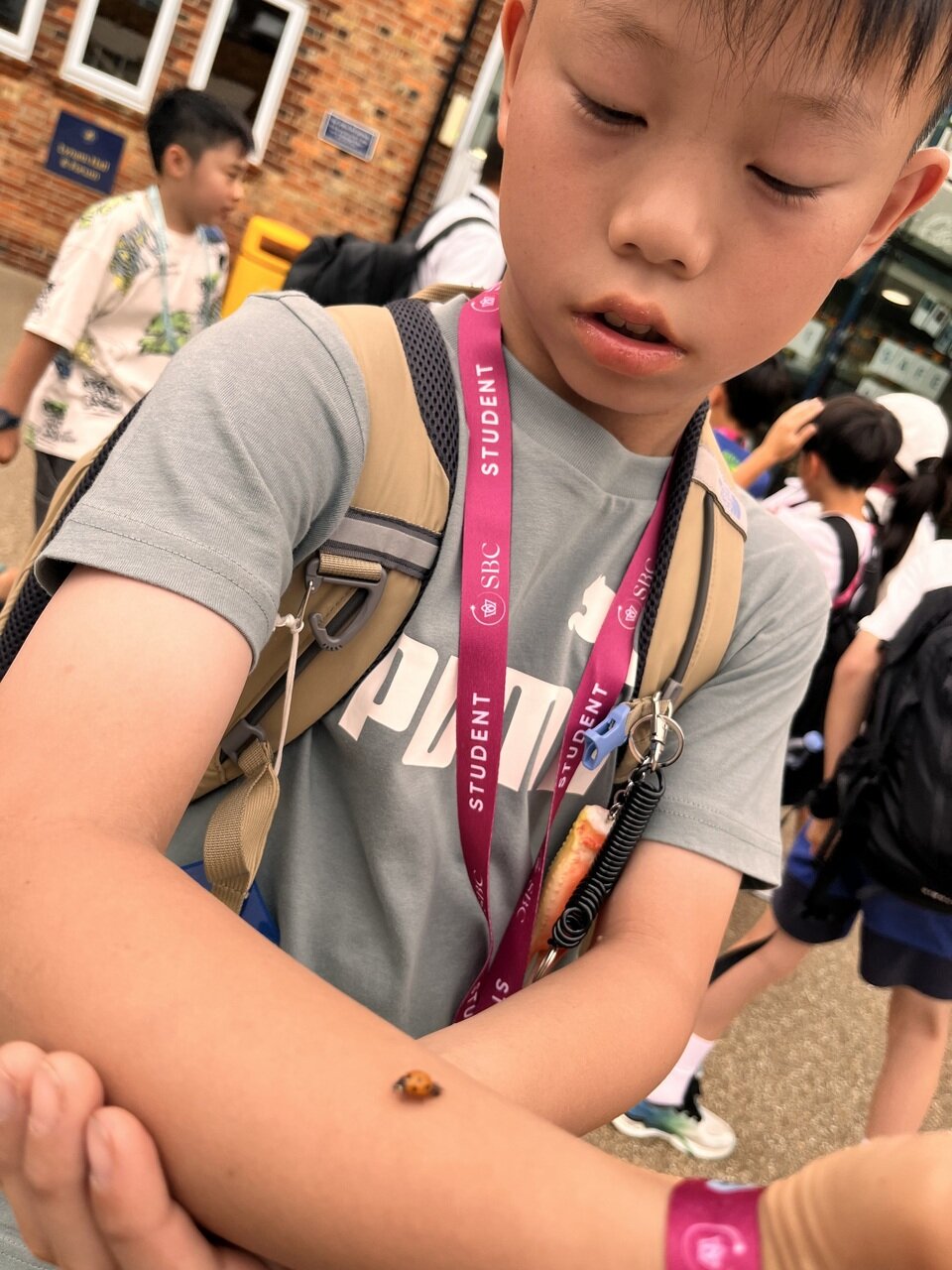 20250717050131-4eec64a71fe122a16732955ada5e50c3465e10b1.jpeg