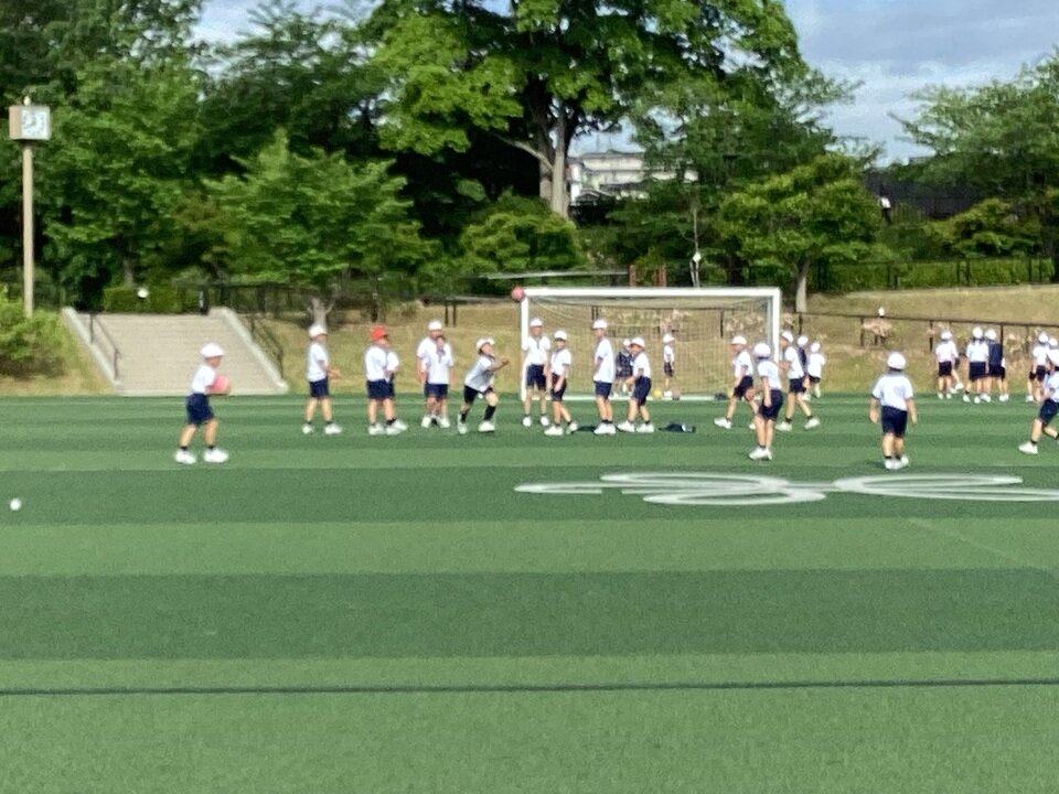 20260507081449-cfb73f44eeb4a6105244d71708832af4e26041e4.jpeg