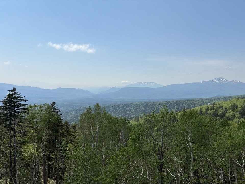20260604113233-72122b253138aac9a85af3c902be34d4083b8b15.jpeg