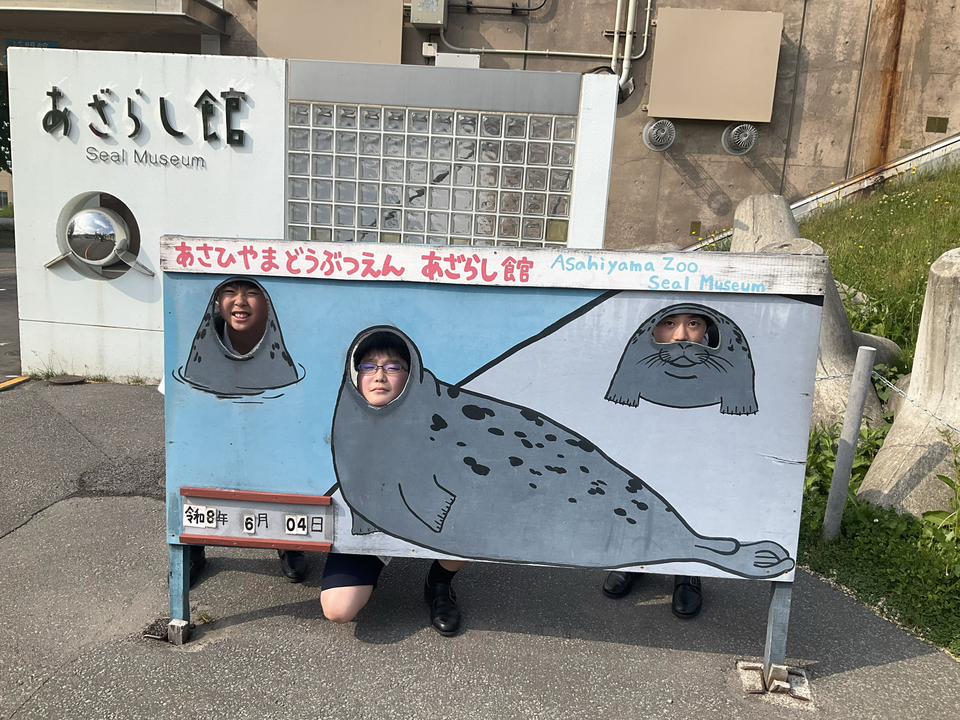 20260604183457-4d362e12b9806f923a6c5f47d715937301d88b3f.png