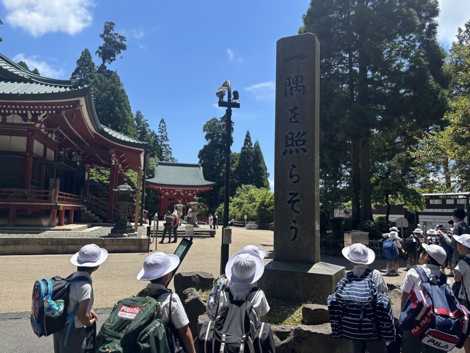 20260610114114-52b5885c3c4b17459ba8ce46fa827033131f7871.jpeg