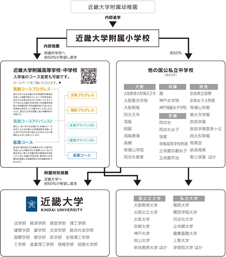 近畿大学付属幼稚園からの進路図です。近畿大学付属幼稚園から内部推薦にて近畿大学付属小学校へ、その後内部推薦にて近畿大学付属高等学校・中学校へ約50%が希望し進学、残り50%はその他中学校へ、その後近畿大学付属高等学校から附属特別推薦にて約50%が希望し近畿大学へ進学しています。