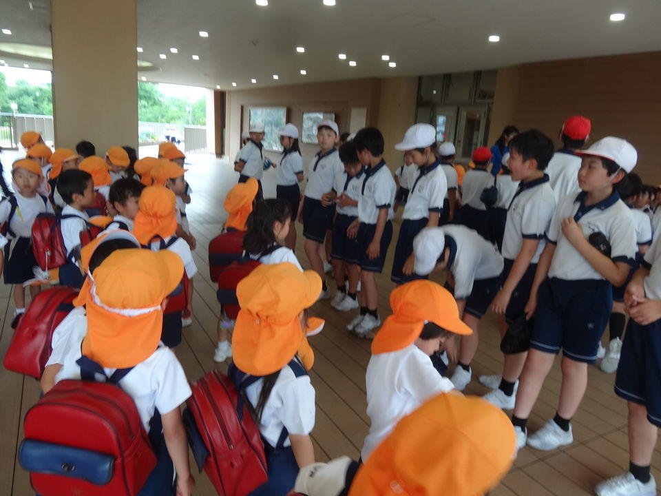 20190601091845-658dab7ec0019cef6d0b02bd76601a3d95abaad0.jpg
