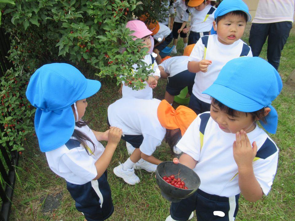 20190603183109-29d8a29c949415c5c0deb539c6ad2835fc98a6e1.jpg