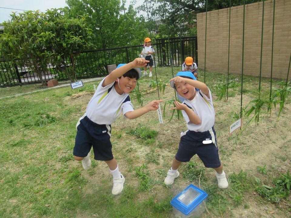 20190608133747-96247597fad6f0dd8ccf2d67cebfe7e04daf45bd.jpg