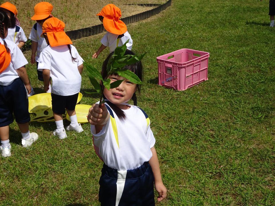 20200609180505-fec2a187015abfd898357659cb0bc9a4e658e2d1.jpg