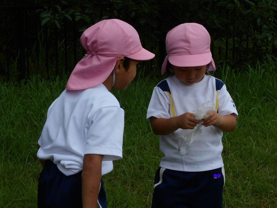 20200702163245-505fc3548e04af57cfcc664adcc381f1ce13e0af.jpg