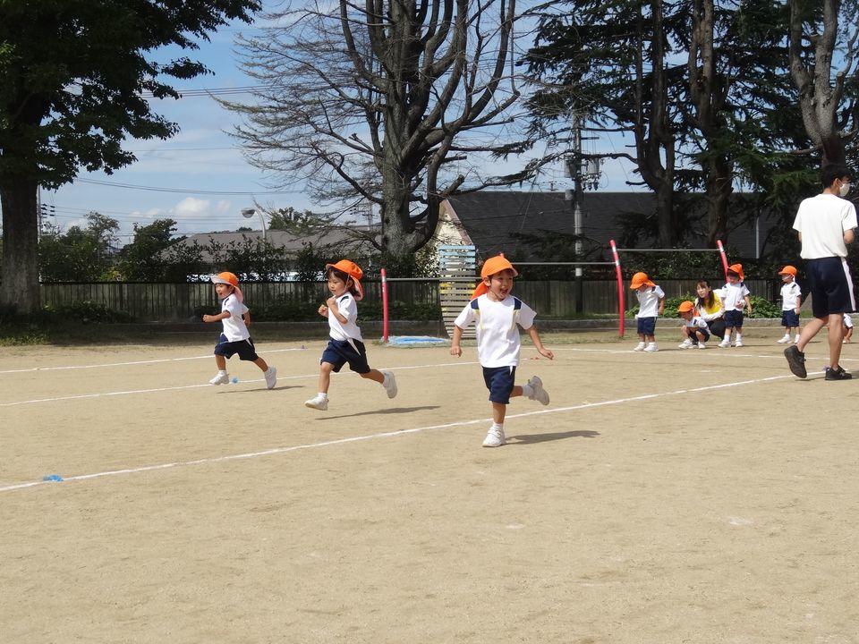 20201002180319-6cd69f46b77c081b98c44bf983e1da8861101d05.jpg