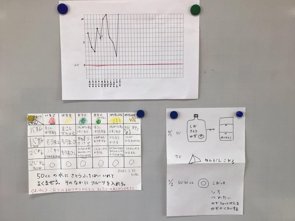 20210202172115-fa5fa321f73a569426b8009f59296477860cc5a1.jpg