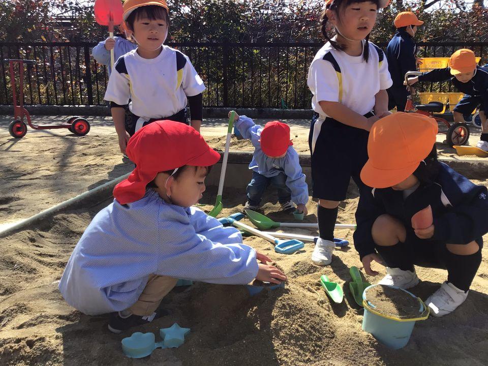 20210210181051-2a8b37c98580e106262db81f052246de1320dfc8.jpeg