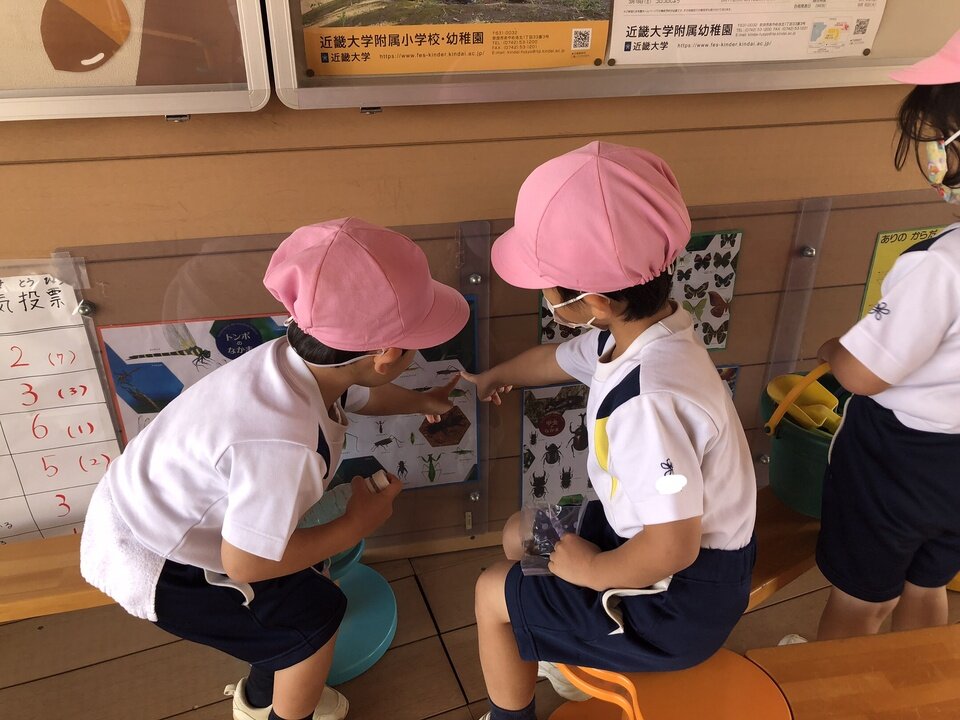 20221110160014-44ab92d7eacb0e3c257864a1ed30cc04bbb7a09c.jpeg