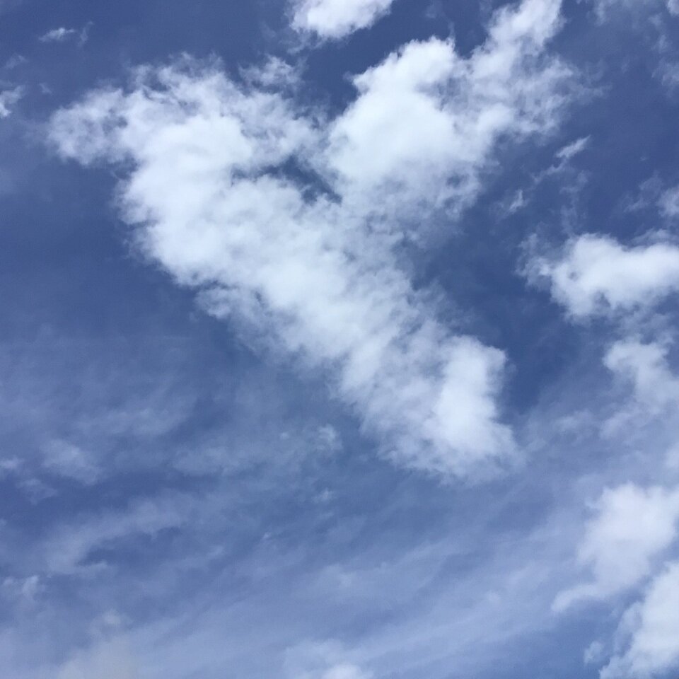 20230601231113-7dcedf38e164ad502af500387798801a5794fe6b.jpeg