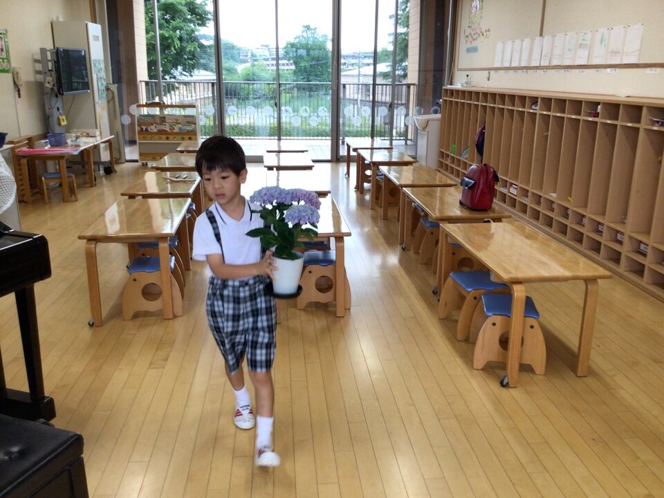 20230613181307-d19bf20124f49afdfe86b3a5deefaa9330e69103.jpeg