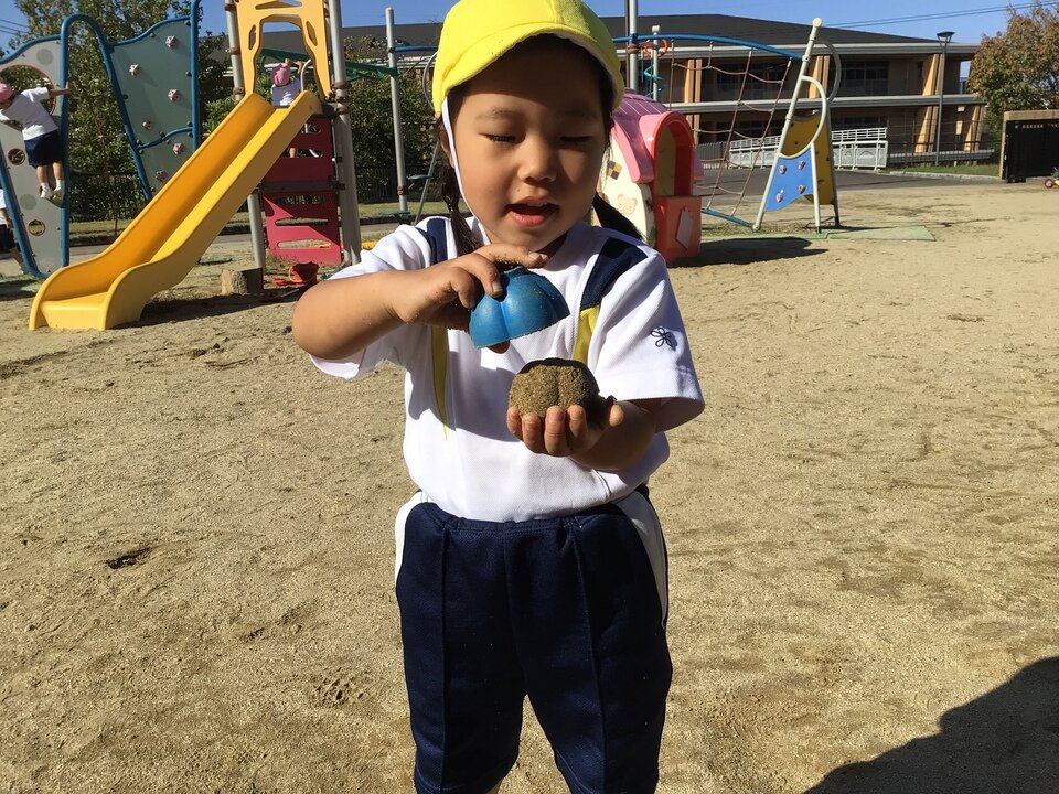 20231012165143-ab136e1539ded76fba26e0586ce5a52b729ccc37.jpeg