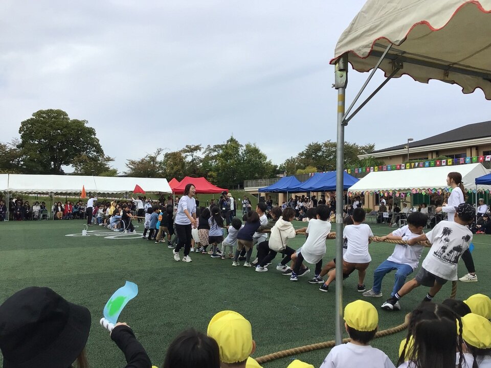 20231016081754-d135a76482671e8cae793707e92e43af17860f28.jpeg