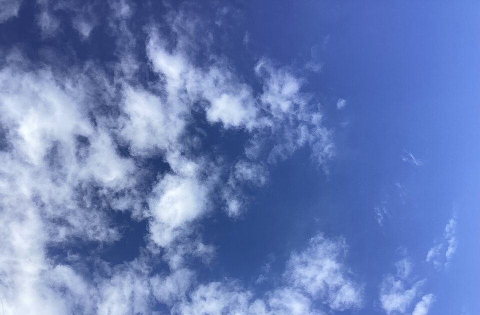 20241128152632-bf255b0dff56bdbd706f3e135d7983e41ee5d786.jpeg