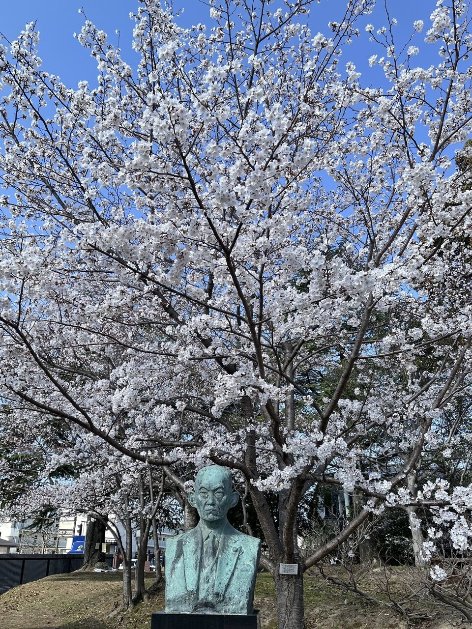 20250403095044-ac09c08eba52af5b730d21f28f27ee0470a02201.jpeg