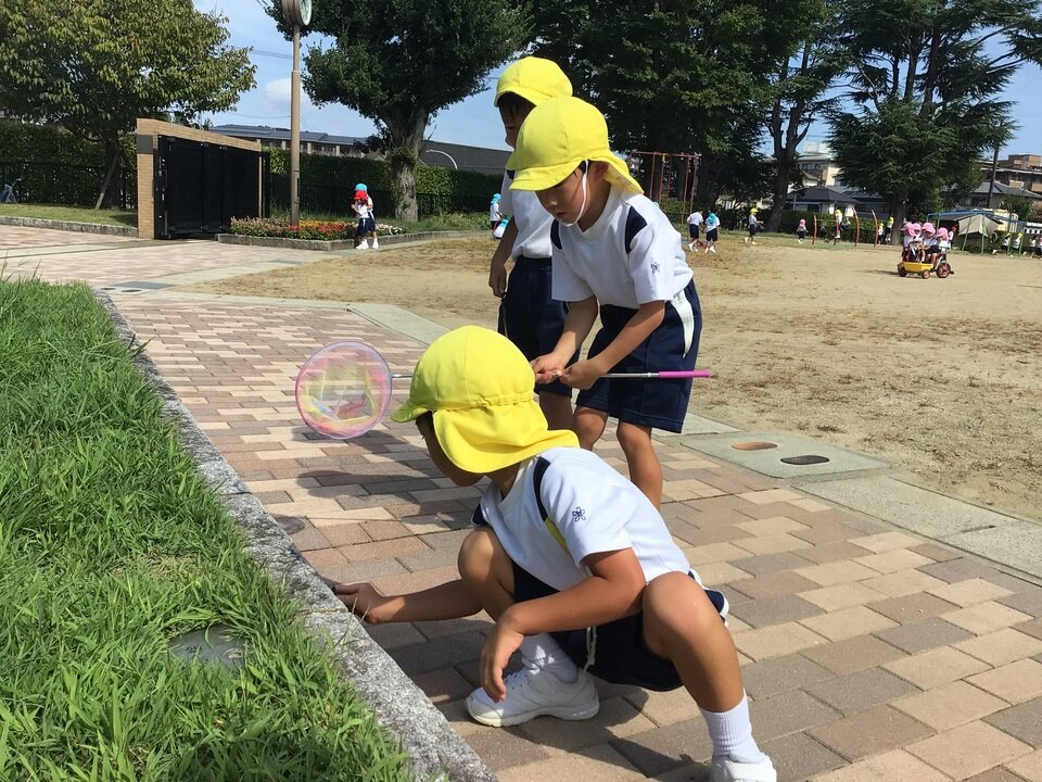20250828143845-de5fb1d7eb165b19df432b7e2e1ccf66fcf5899e.jpeg