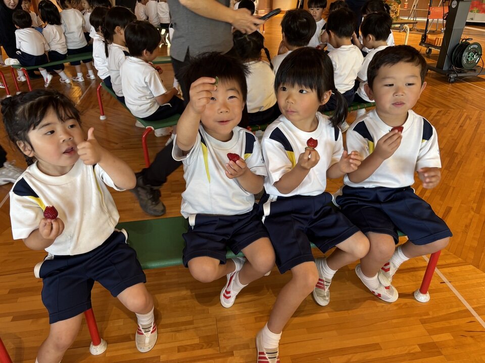 20260518163640-ef87ef360e744fb3c89e195e8c281161c7e727f4.jpeg