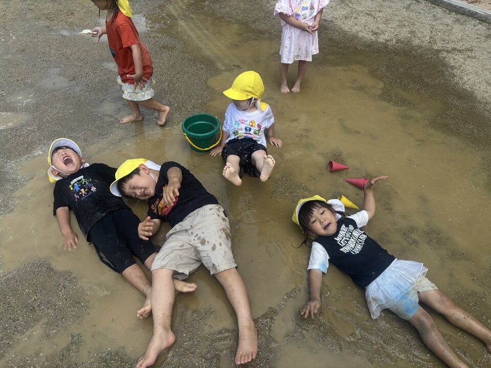 20260612173051-2ca695146ce7fd817c355db8e945e973ef228093.jpeg