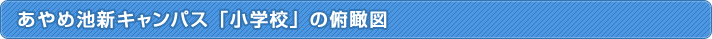 あやめ池新キャンパス「小学校」の俯瞰図