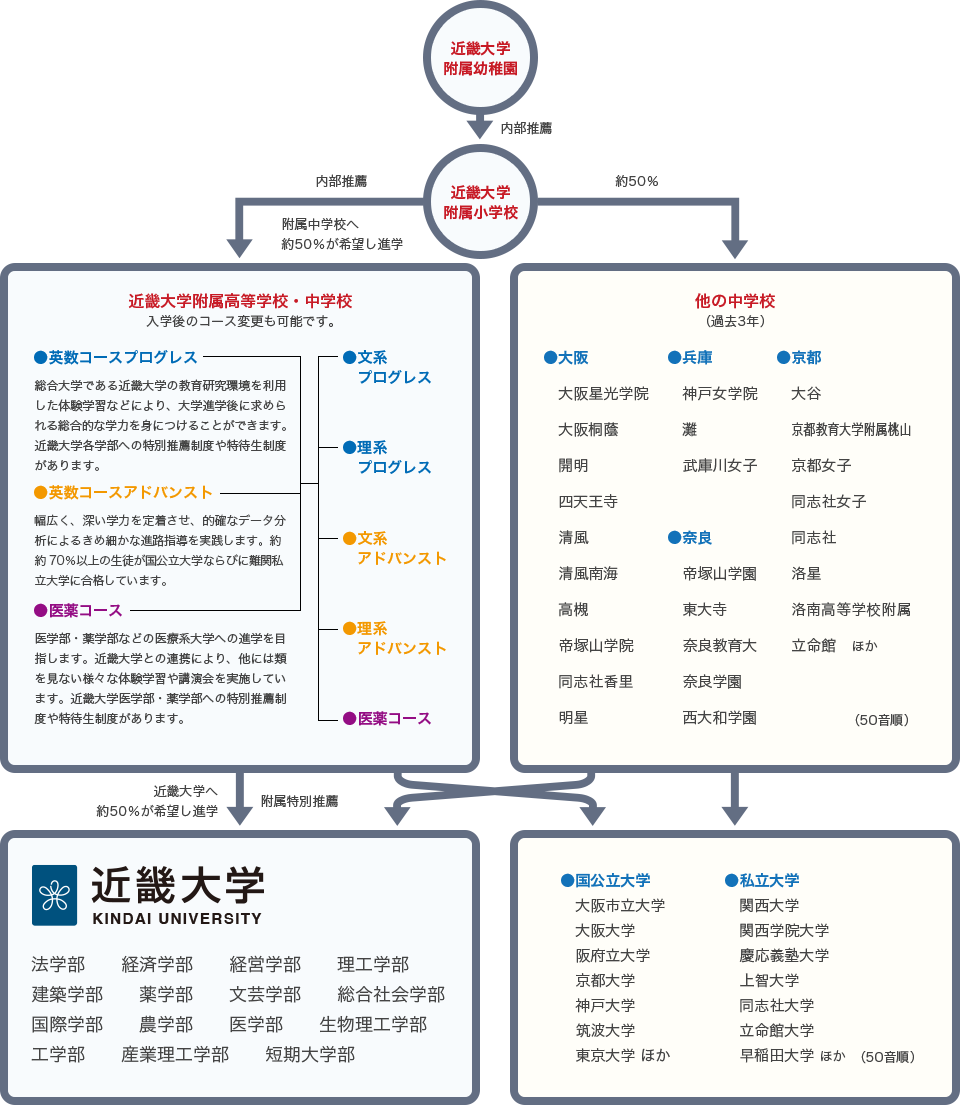 近畿大学付属幼稚園からの進路図です。近畿大学付属幼稚園から内部推薦にて近畿大学付属小学校へ、その後内部推薦にて近畿大学付属高等学校・中学校へ約50%が希望し進学、残り50%はその他中学校へ、その後近畿大学付属高等学校から附属特別推薦にて約50%が希望し近畿大学へ進学しています。